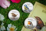The British Birds 1oz Silver Set