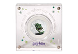 The UK 2024 Harry Potter and The Black Lake Silver Proof 50p Coin