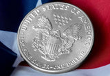 The U.S. 1986 1oz Silver Eagle