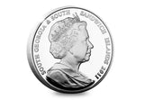 A Lifetime of Partnership Silver Pair