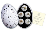 Dinosaur BU Colour 50p Set