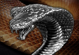 2025 3D Snake 3oz Silver Coin