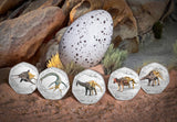 Dinosaur BU Colour 50p Set