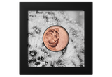 The Snow Leopard Ultra-High Relief 50g Copper Coin