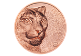 The Snow Leopard Ultra-High Relief 50g Copper Coin
