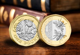 The British Pound Coin Historic Frame