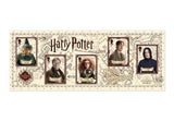 The Ultimate Limited Edition Harry Potter Framed Presentation